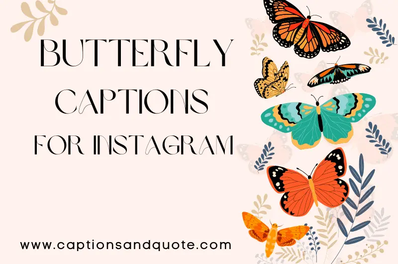 Best Butterfly Captions And Quotes For Instagram In 2024