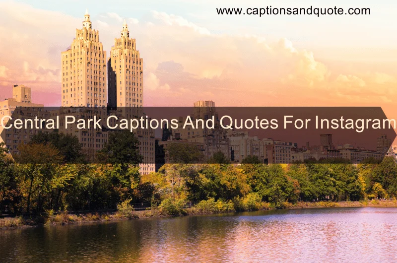 Central Park Captions And Quotes For Instagram