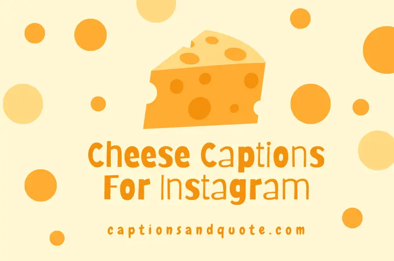 Cheese Captions For Instagram