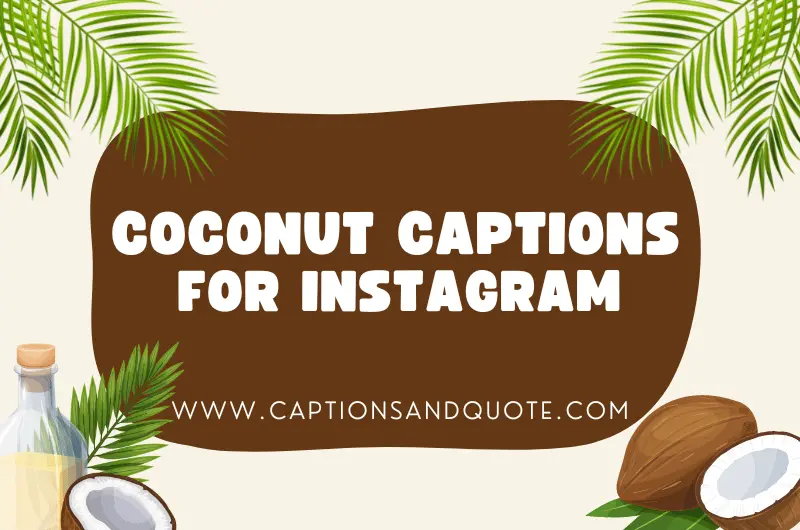 Coconut Captions For Instagram