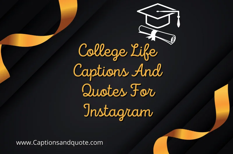 College Life Captions And Quotes For Instagram