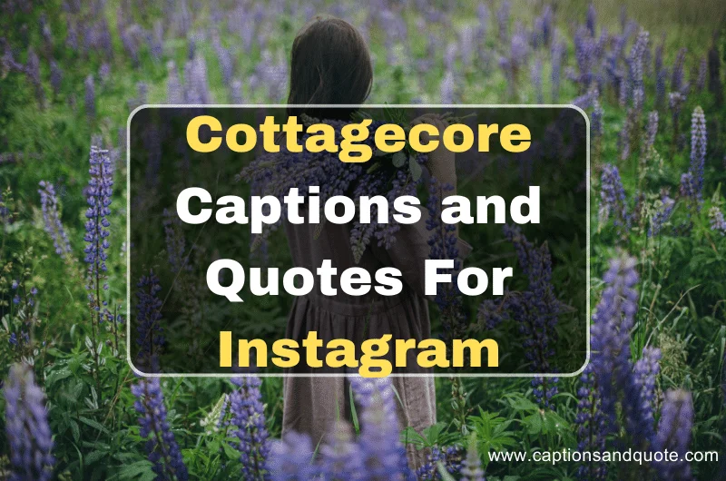 Cottagecore Captions and Quotes For Instagram