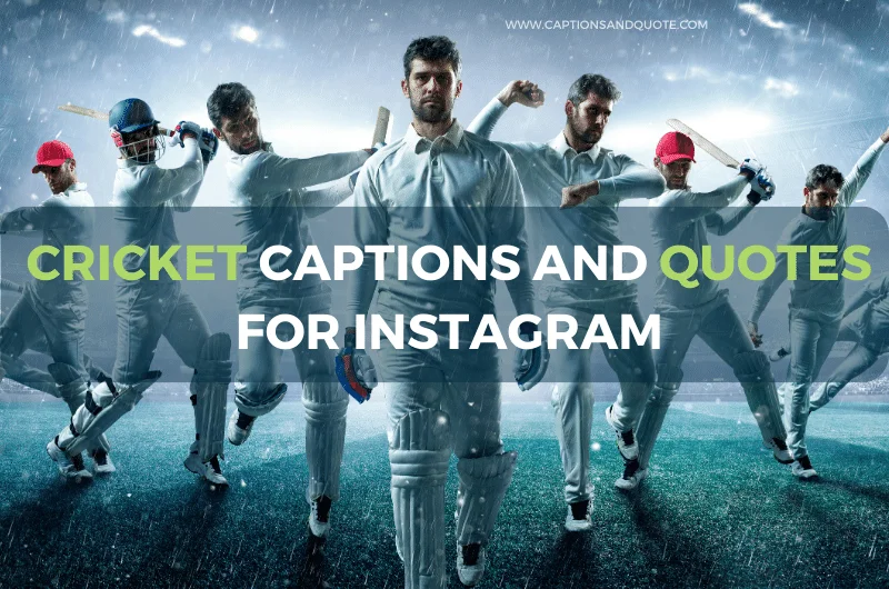 Cricket Captions and Quotes For Instagram