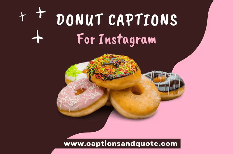 Donut Captions For Instagram