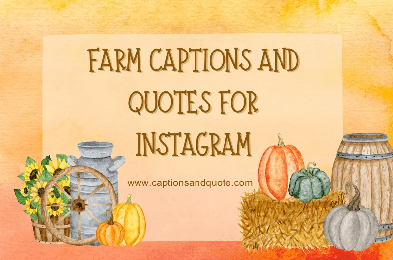 Farm Captions and Quotes for Instagram