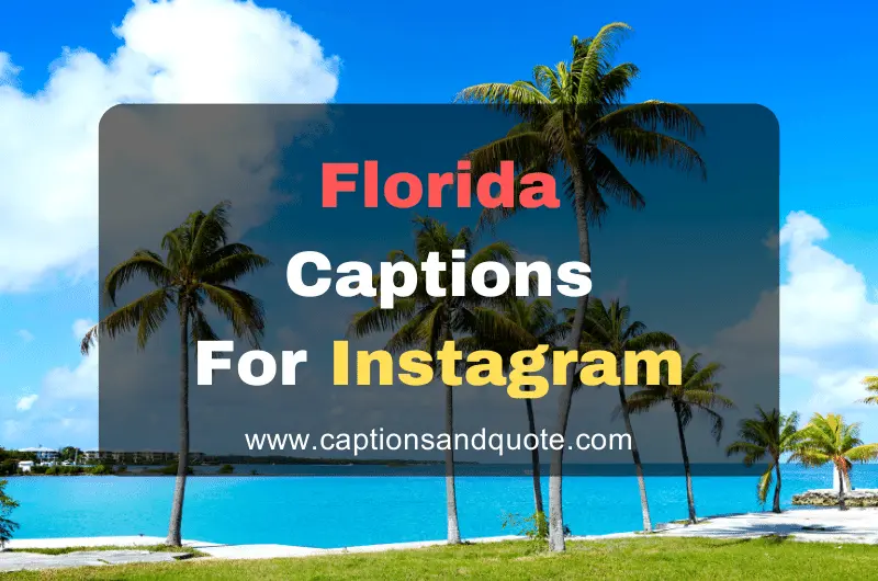 Florida Captions For Instagram