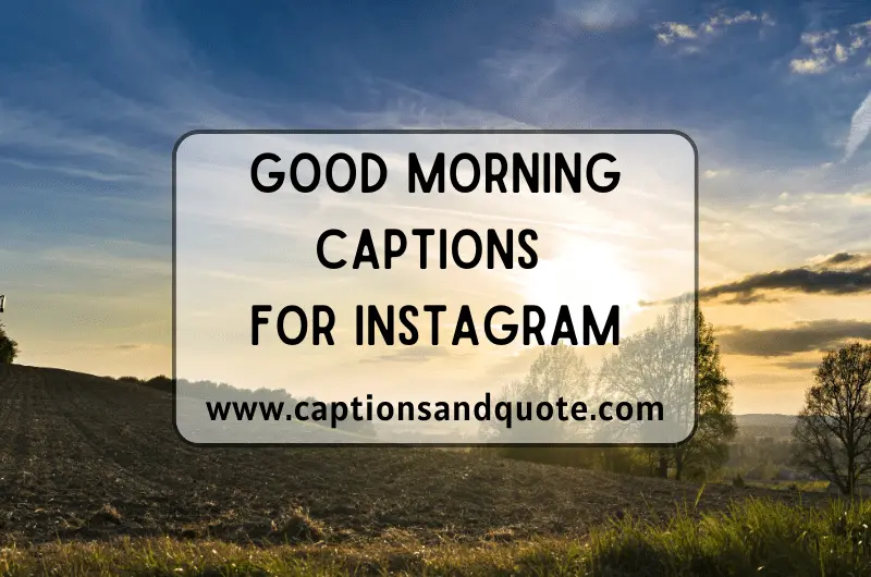 470+ Best Morning Captions And Quotes For Instagram In 2023