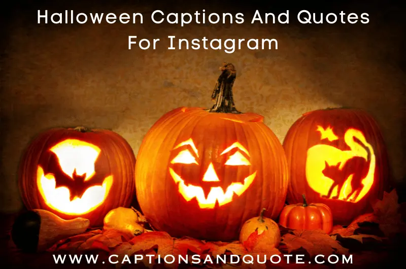 Halloween Captions And Quotes For Instagram