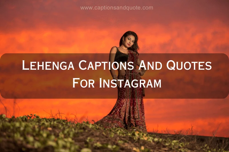 75 Lehenga Quotes For Instagram: Funny To Sassy-sgquangbinhtourist.com.vn