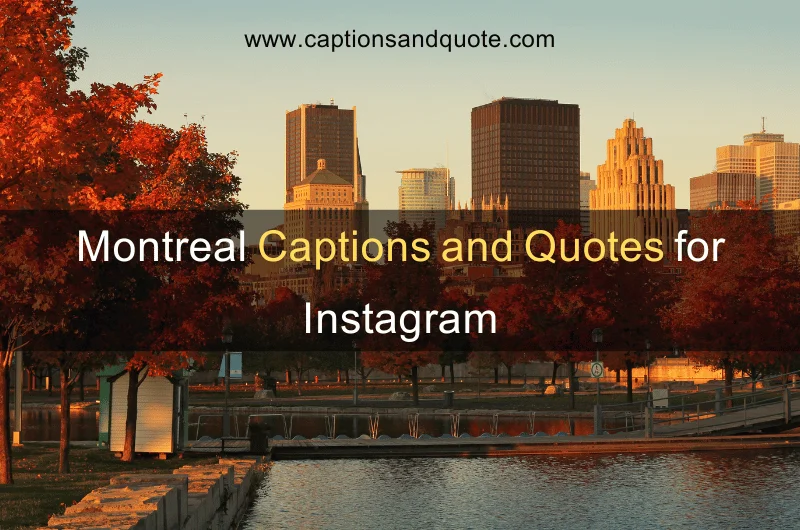 Montreal Captions and Quotes for Instagram