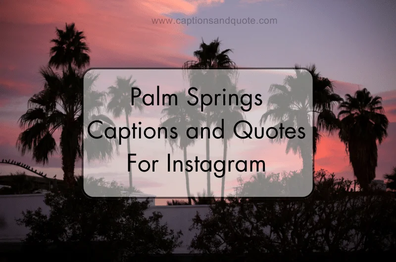 Palm Springs Captions and Quotes For Instagram