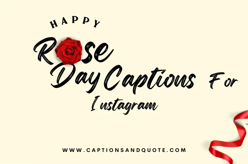 Rose day captions for instagram