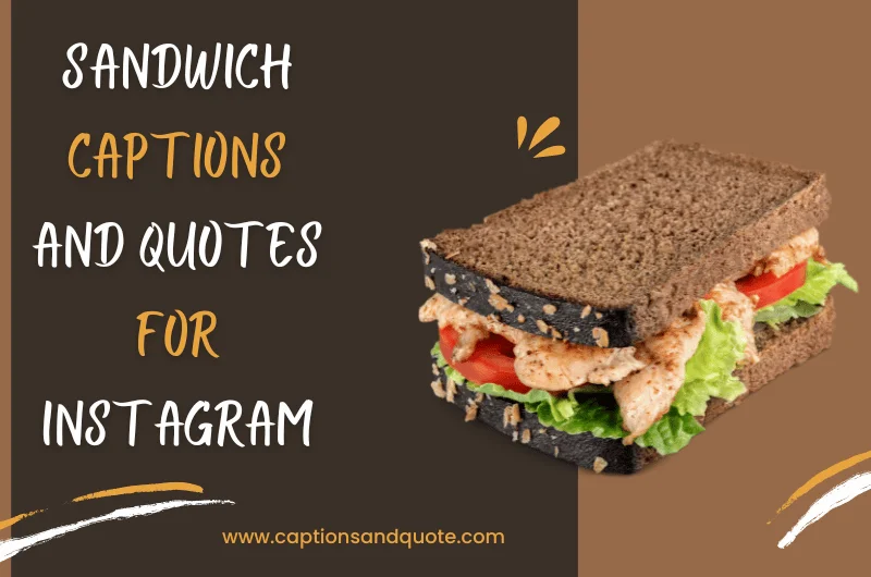 Sandwich Captions and Quotes For Instagram