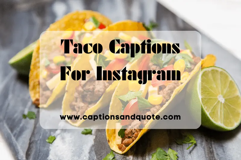 Taco Captions For Instagram