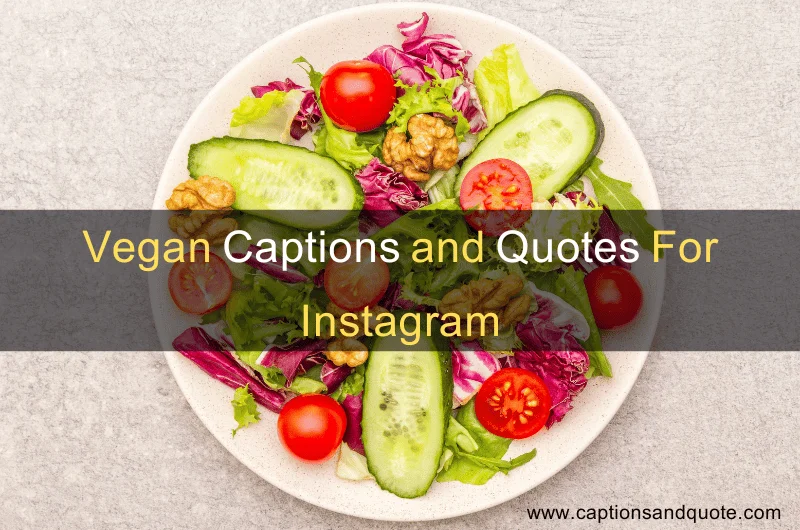 Vegan Captions and Quotes For Instagram