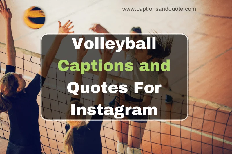 Volleyball Captions and Quotes For Instagram