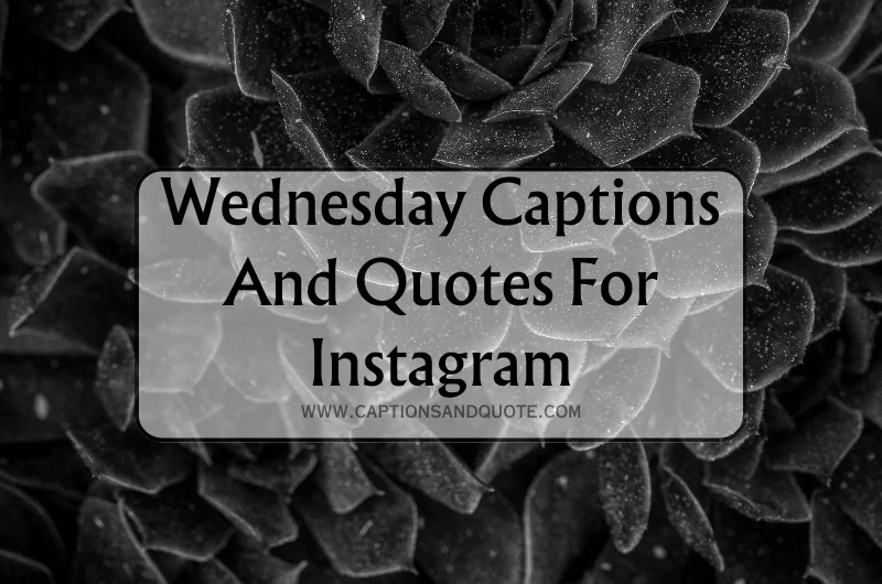 Wednesday Captions And Quotes For Instagram