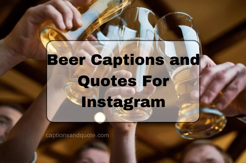 Beer Captions and Quotes For Instagram