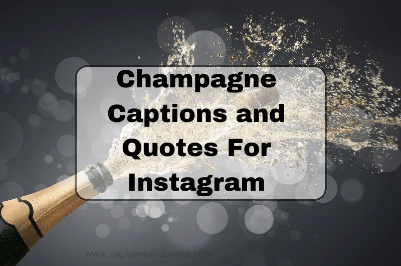 Champagne Captions and Quotes For Instagram