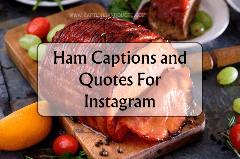 Ham Captions and Quotes For Instagram