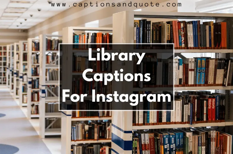Library Captions For Instagram