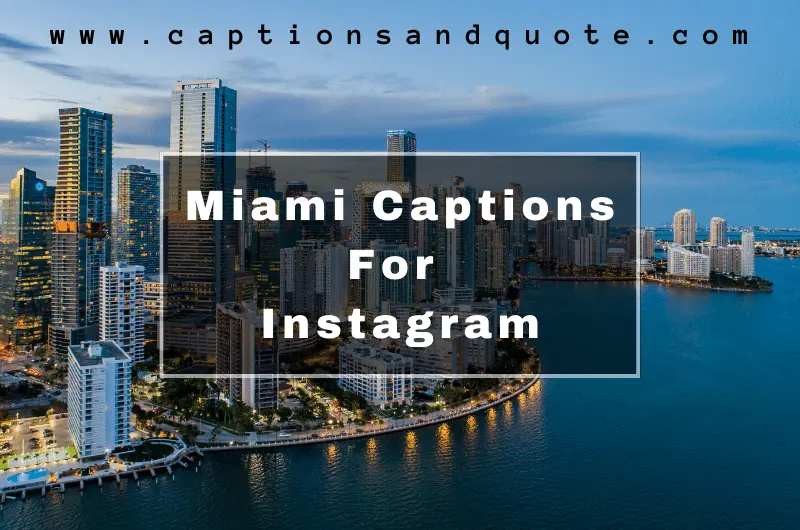 Miami Captions For Instagram