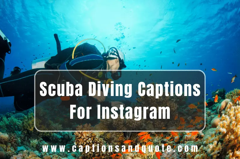 Scuba Diving Captions For Instagram
