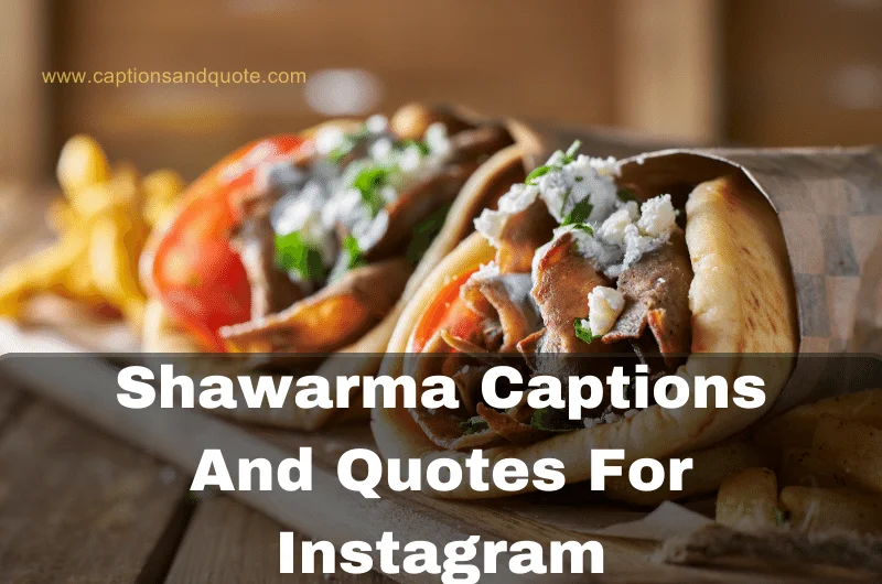Shawarma Captions And Quotes For Instagram