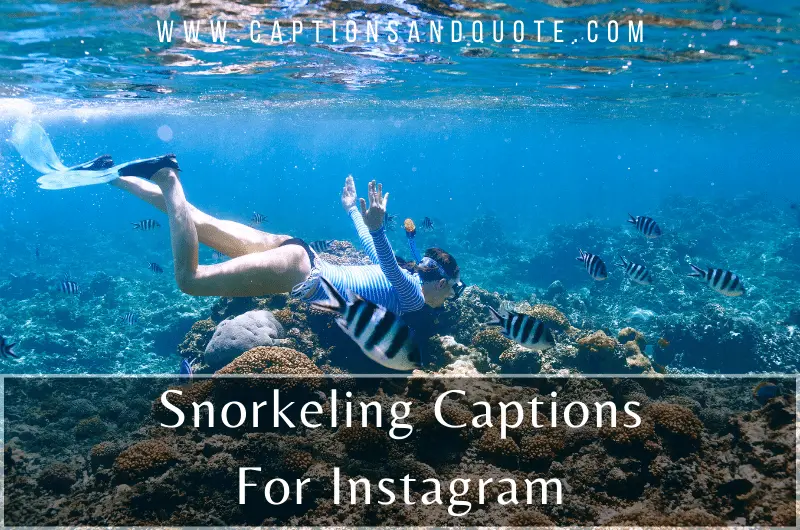 Snorkeling Captions For Instagram