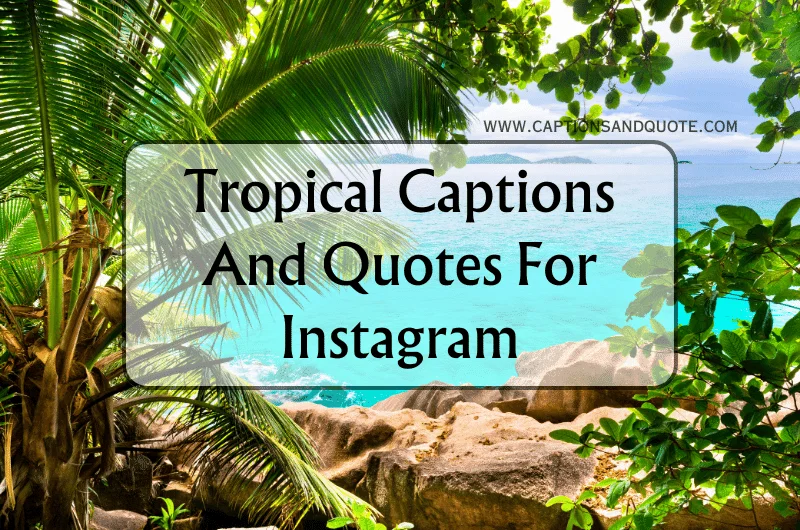 Tropical Captions And Quotes For Instagram