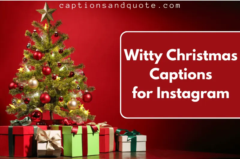 Witty Christmas Captions for Instagram