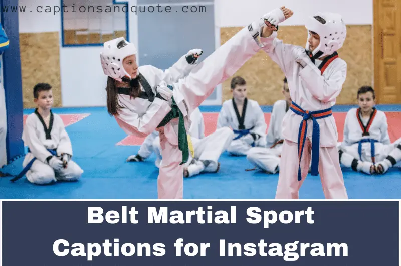 Belt Martial Sport Captions for Instagram
