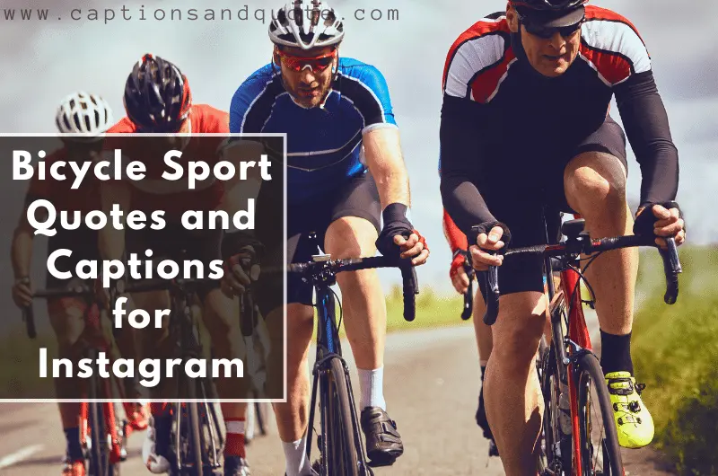 Bicycle Sport Quotes and Captions for Instagram