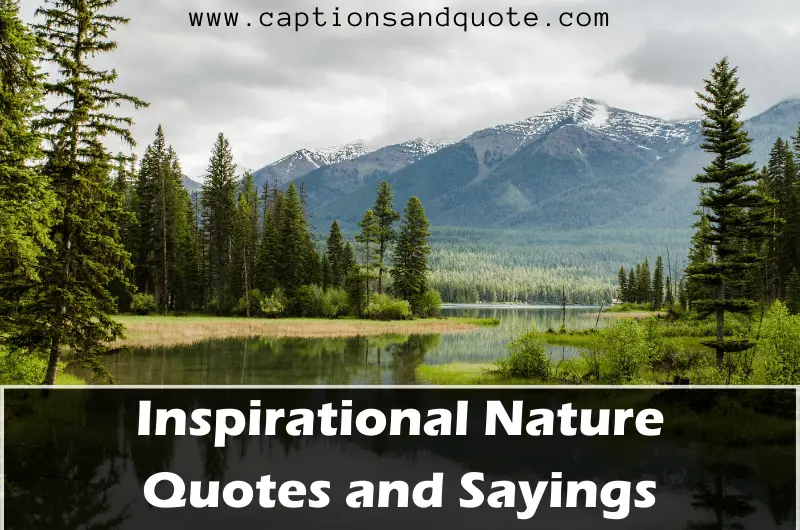 Inspirational Nature Quotes and Sayings