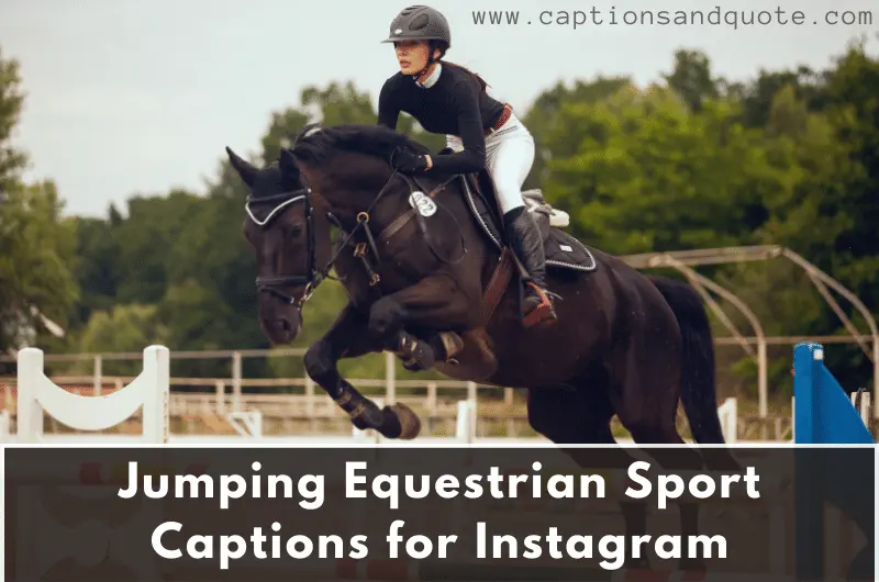 Jumping Equestrian Sport Captions for Instagram