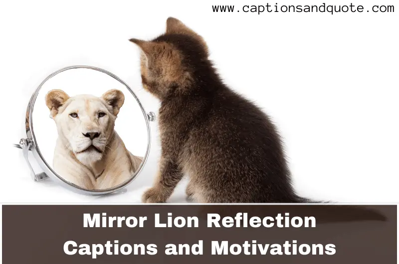Mirror Lion Reflection Captions and Motivations