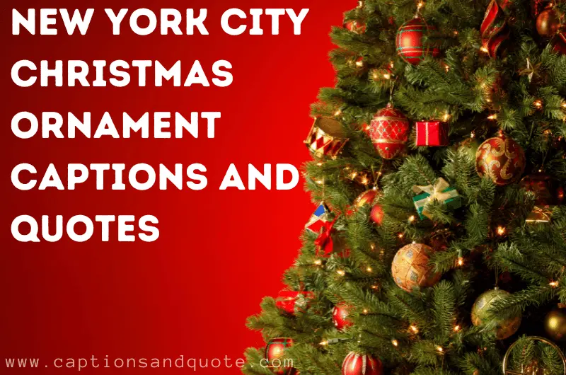 New York City Christmas Ornament Captions and Quotes