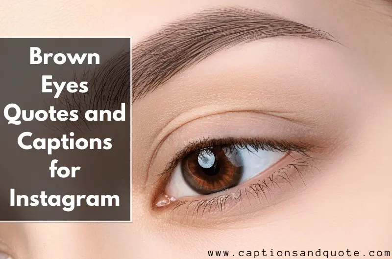 Brown Eyes Quotes and Captions for Instagram