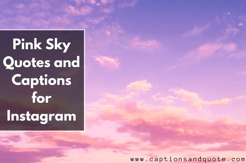 380 Pink Sky Quotes And Captions For Instagram In 2024