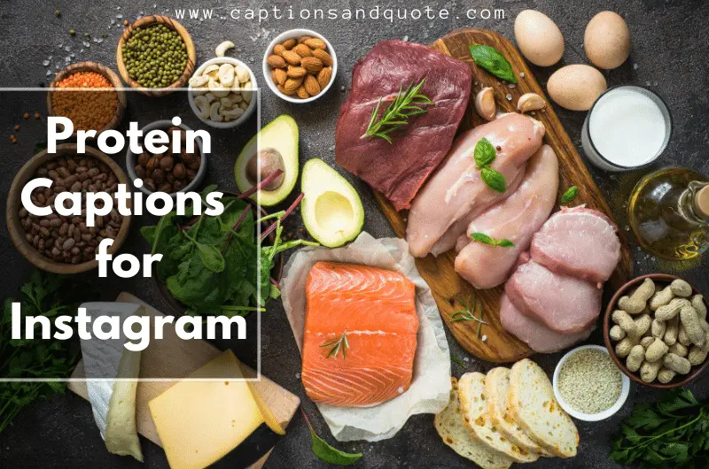 Protein Captions for Instagram