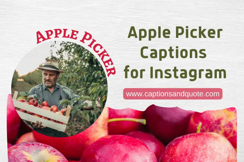 Apple Picker Captions for Instagram