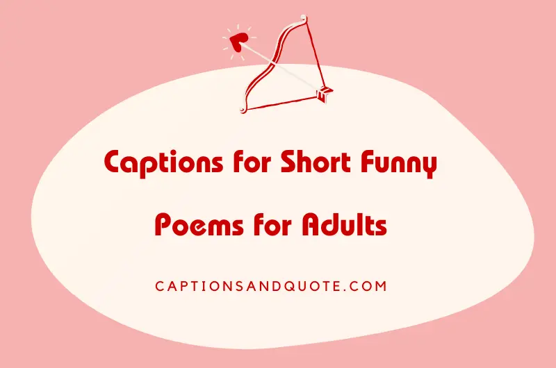 Captions for Short Funny Poems for Adults