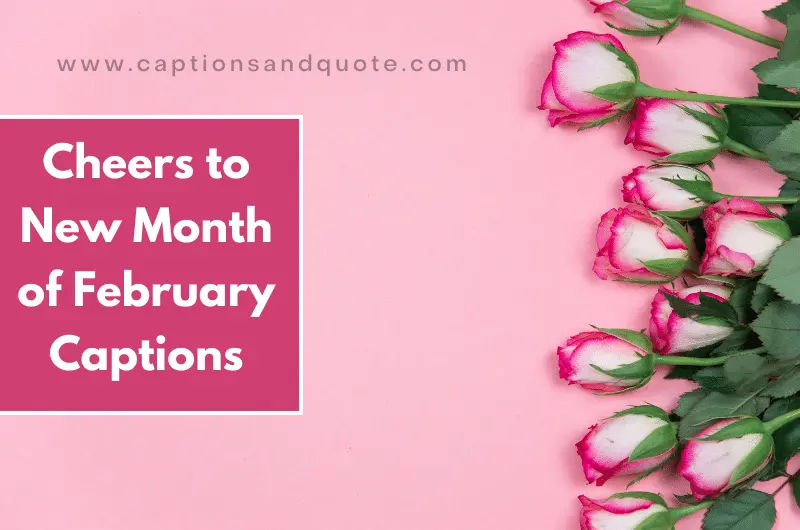 Cheers to New Month of February Captions and Quotes