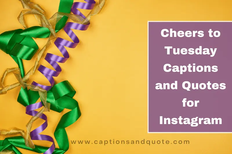 Cheers to Tuesday Captions and Quotes for Instagram