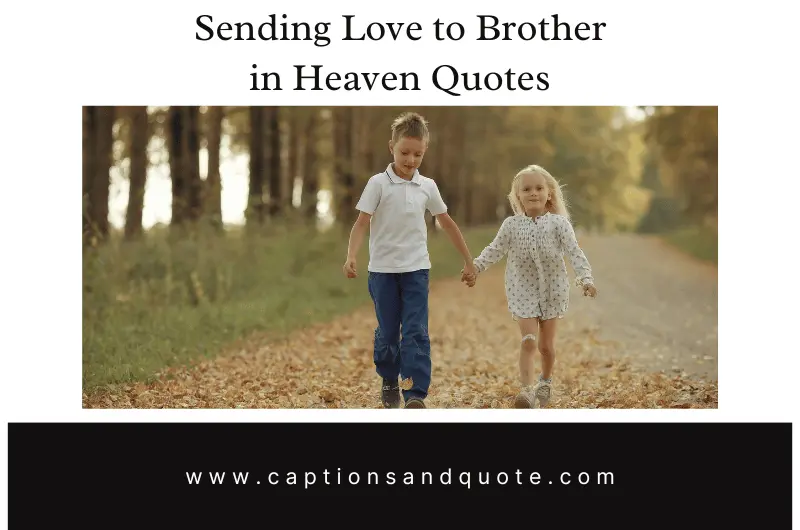 260 Sending Love To Brother In Heaven Quotes In 2024