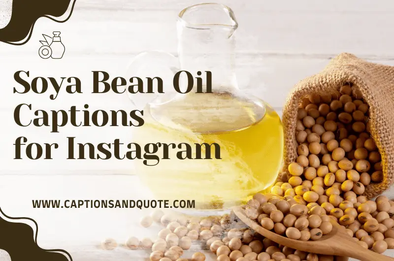 Soya Bean Oil Captions for Instagram