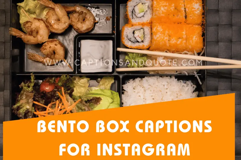 Bento Box Captions for Instagram