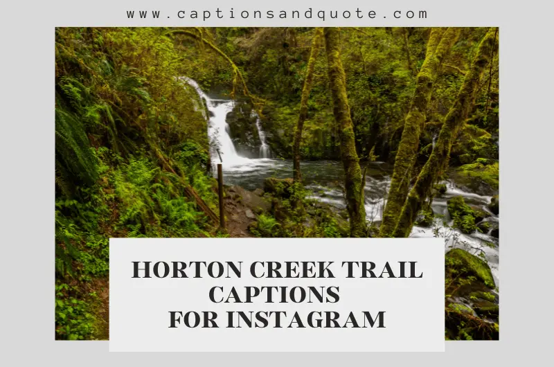 Horton Creek Trail Captions for Instagram