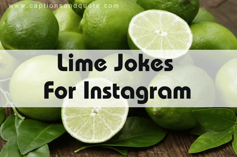 Lime Jokes For Instagram