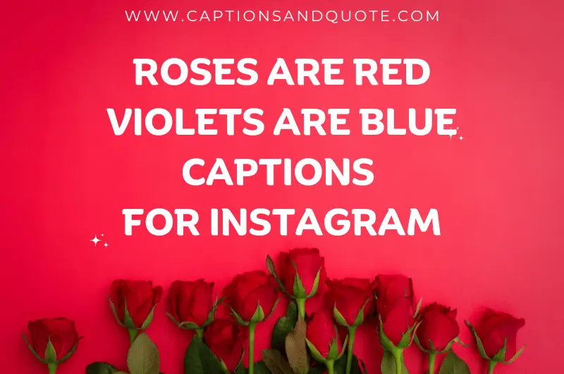 Roses Are Red Violets Are Blue Captions For Instagram
